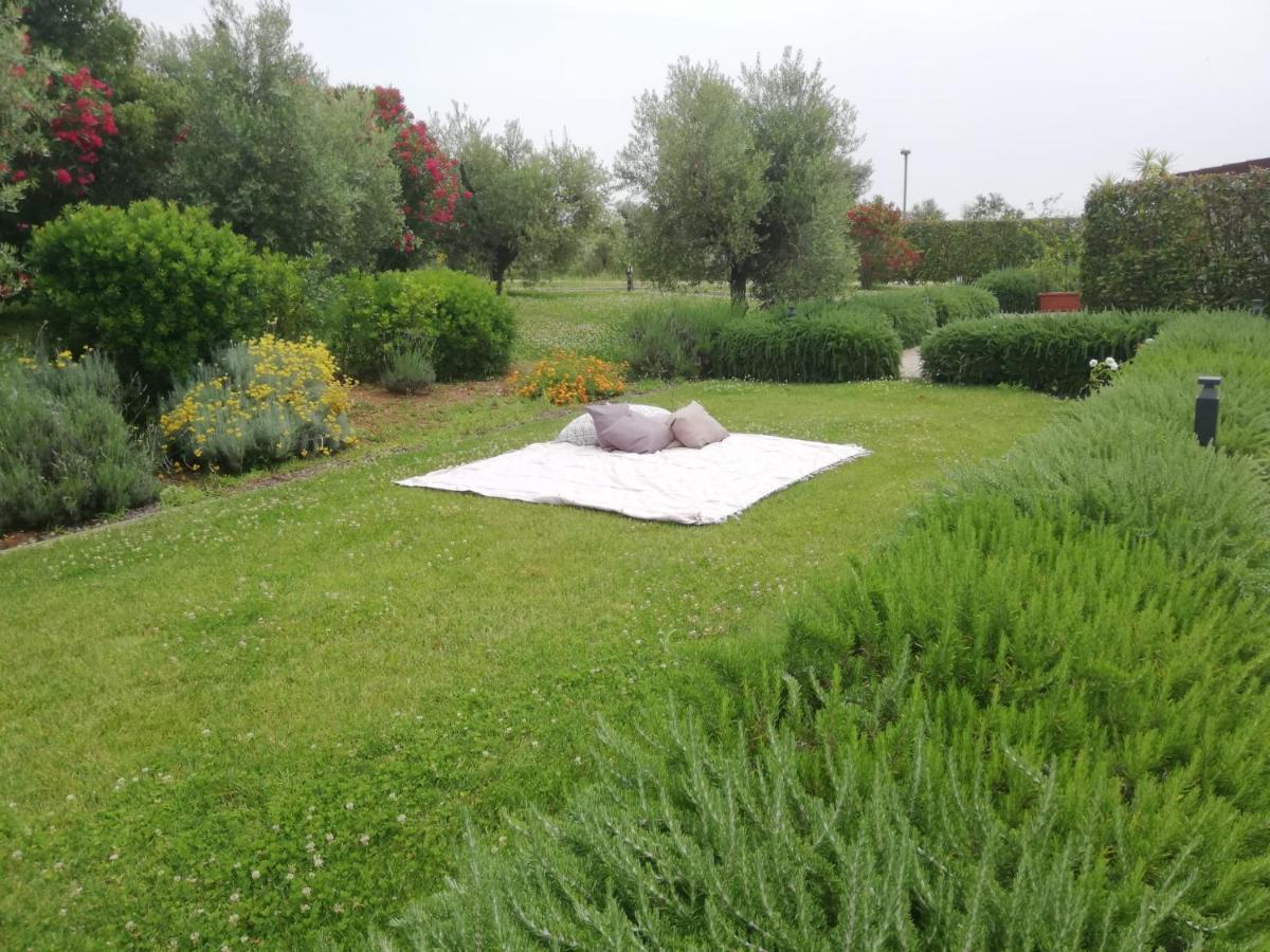 Il Casale Degli Ulivi - Agriturismo - Tenimenti Leone Lanuvio Ngoại thất bức ảnh