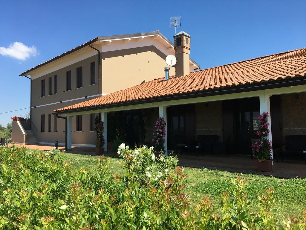 Il Casale Degli Ulivi - Agriturismo - Tenimenti Leone Lanuvio Ngoại thất bức ảnh