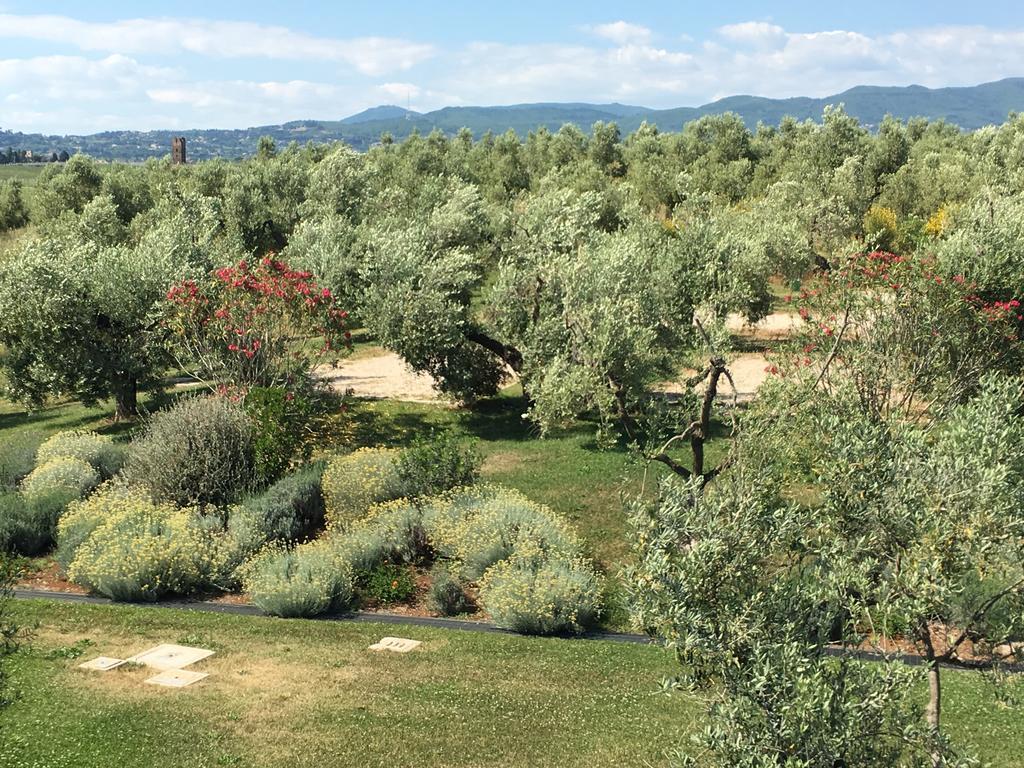 Il Casale Degli Ulivi - Agriturismo - Tenimenti Leone Lanuvio Ngoại thất bức ảnh