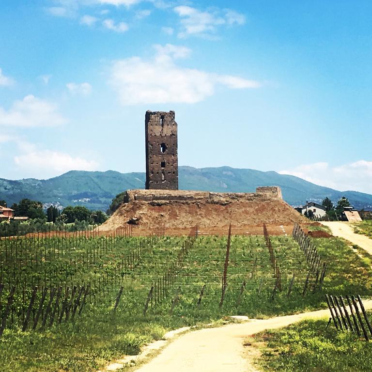 Il Casale Degli Ulivi - Agriturismo - Tenimenti Leone Lanuvio Ngoại thất bức ảnh
