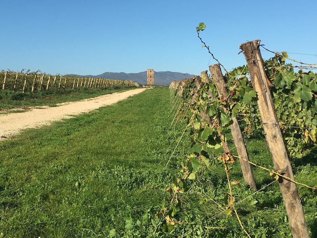 Il Casale Degli Ulivi - Agriturismo - Tenimenti Leone Lanuvio Ngoại thất bức ảnh