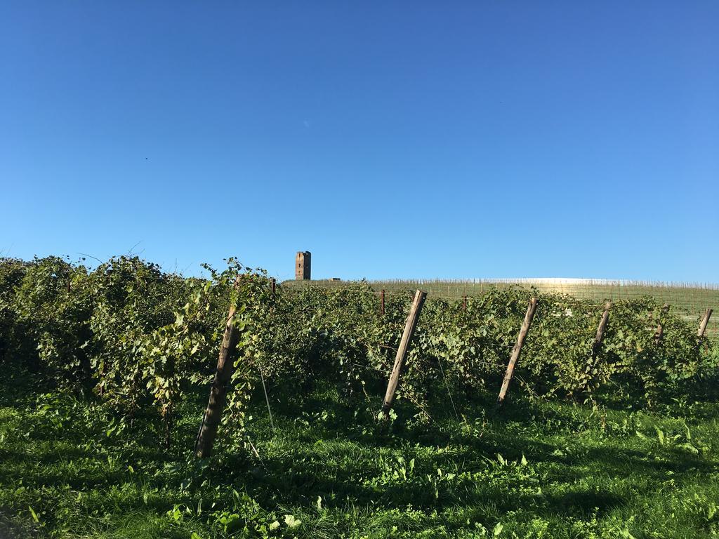 Il Casale Degli Ulivi - Agriturismo - Tenimenti Leone Lanuvio Ngoại thất bức ảnh