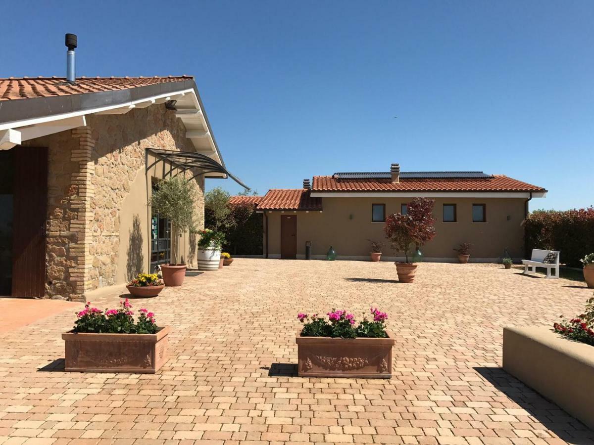 Il Casale Degli Ulivi - Agriturismo - Tenimenti Leone Lanuvio Ngoại thất bức ảnh