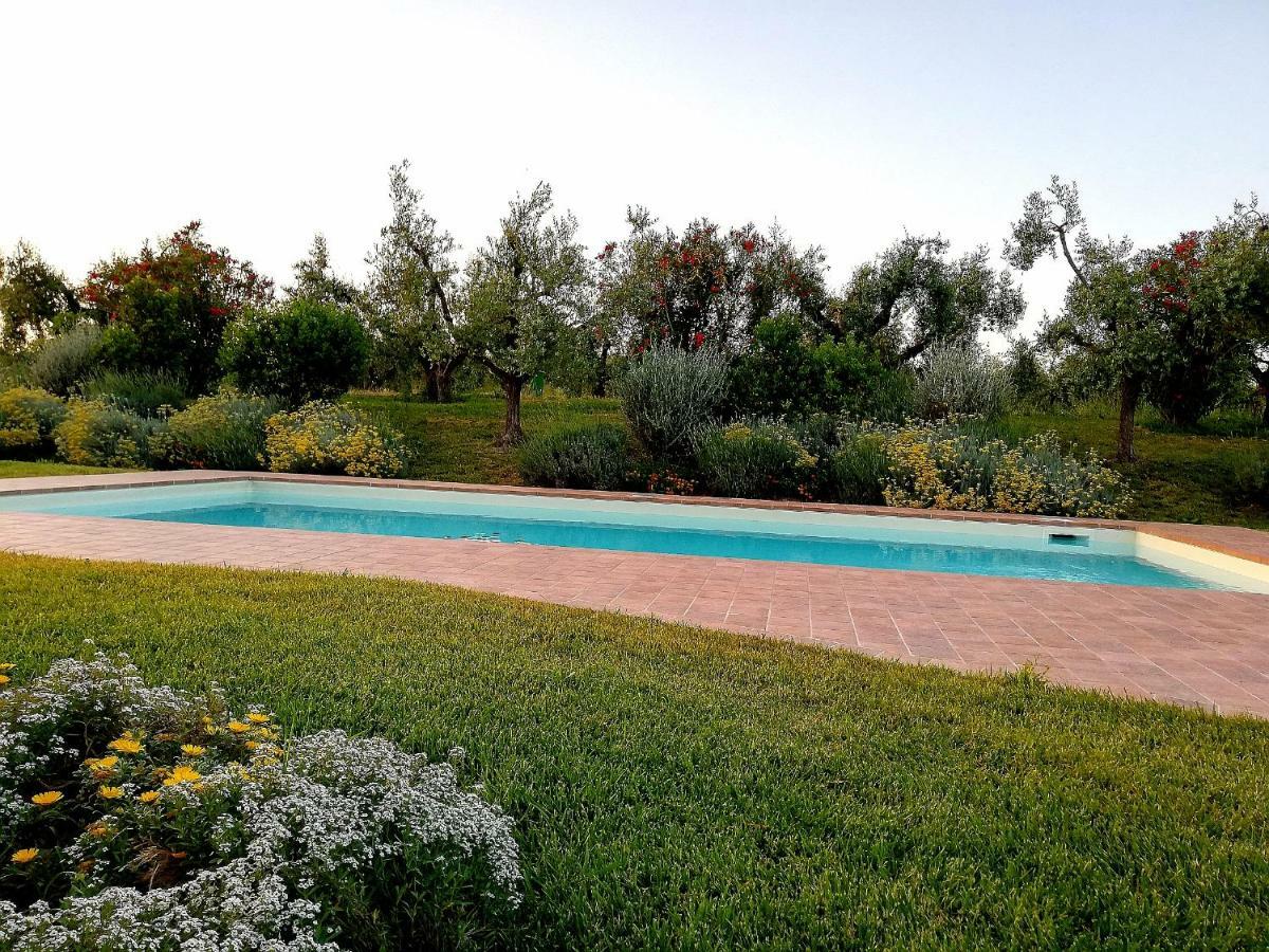 Il Casale Degli Ulivi - Agriturismo - Tenimenti Leone Lanuvio Ngoại thất bức ảnh